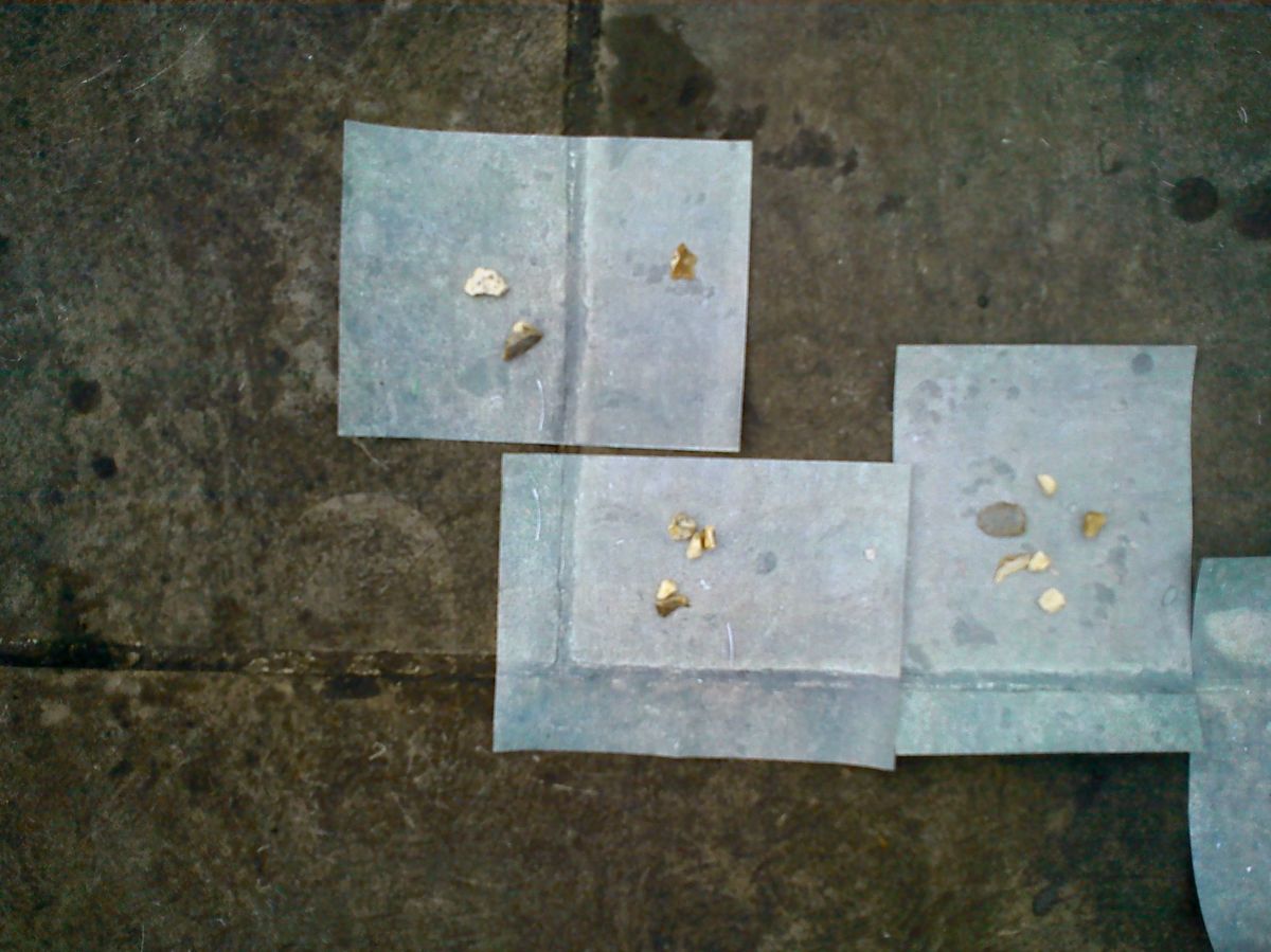 Surveying the territory: part&nbsp;one