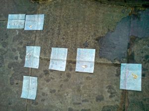 invisible territory2