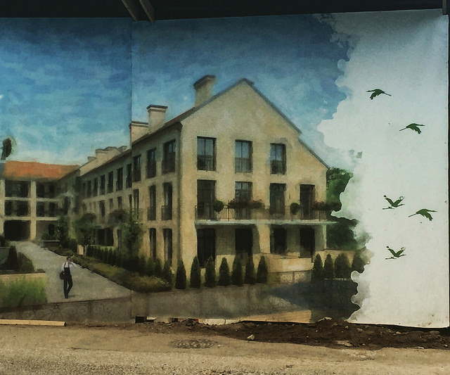 29701965800_63dcd961e8_z