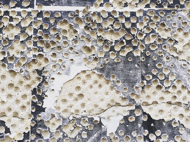 Nine days in&nbsp;Vilnius