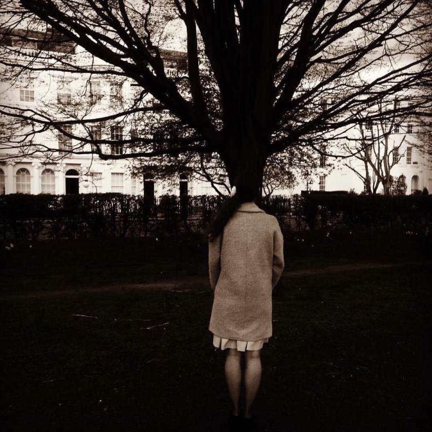 invisible crossings image